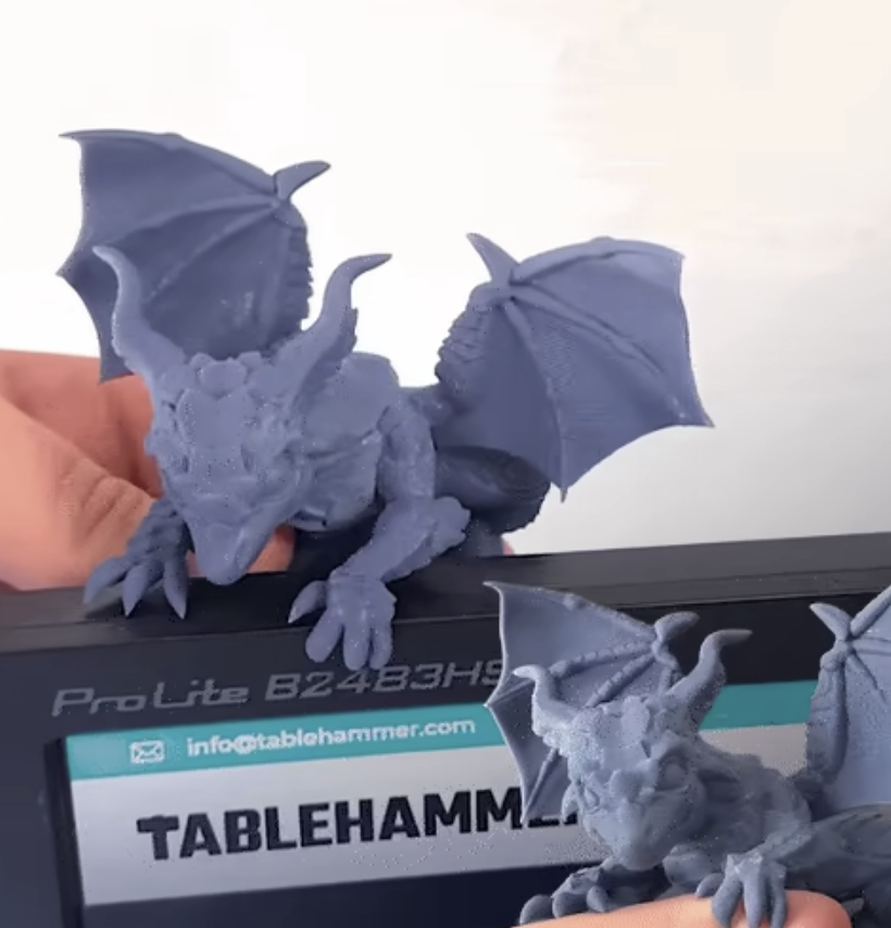 Monitor Dragon